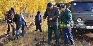 «Хәтер бакчасы» акциясе барышында Татарстанда 507 мең агач утыртылган