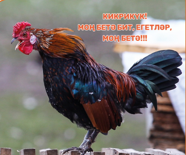 "Сәхнәгә чыгып җырлау өчен миңа моң кирәкми". Татар эстрадасы җырчылары моң турында